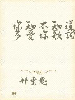 你知不知道我有多爱你歌词是哪首歌