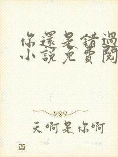 你还是错过了我小说免费阅读全文