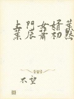 上门女婿叶辰 叶辰萧初然531