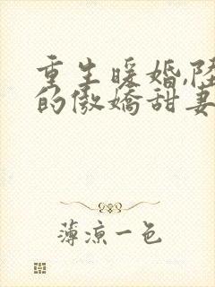 重生暖婚,陆少的傲娇甜妻