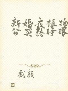 新婚夜植物人老公突然睁眼