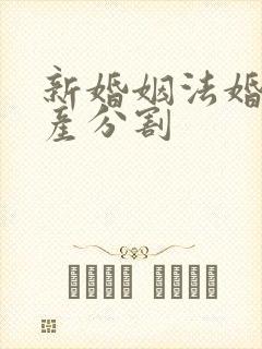 新婚姻法婚前财产分割