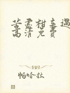 苦尽柑来遇见你高清免费