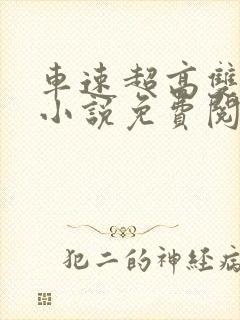 车速超高双男主小说免费阅读