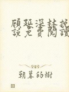 顾延深林挽音小说免费阅读最新章节