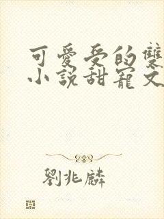 可爱受的双男主小说甜宠文