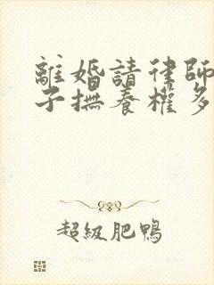 离婚请律师要孩子抚养权多少钱