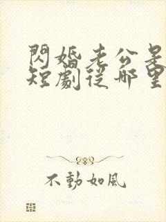 闪婚老公是总裁短剧从哪里看全片