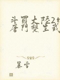 斗罗大陆2绝世唐门双生武魂