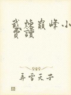 武炼巅峰小说免费读