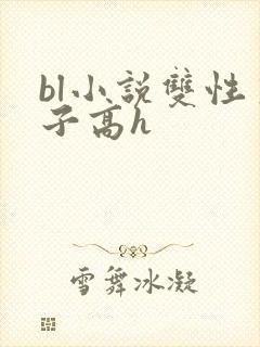 bl小说双性生子高h