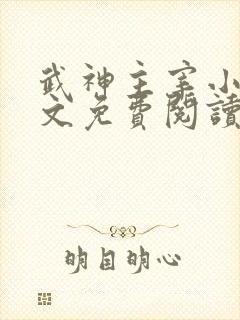 武神主宰小说全文免费阅读无弹窗