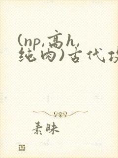 (np,高h,纯肉)古代攻受