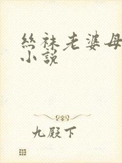 丝袜老婆母调教小说