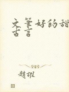 文笔好的甜宠文古言