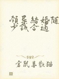 领导结婚随礼多少钱合适