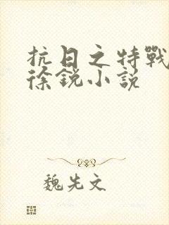 抗日之特战兵王徐锐小说