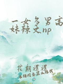 一女多男高h兄妹辣文np