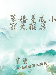 军婚养成小说甜宠文推荐