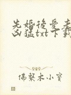 先婚后爱老公很凶猛txt下载