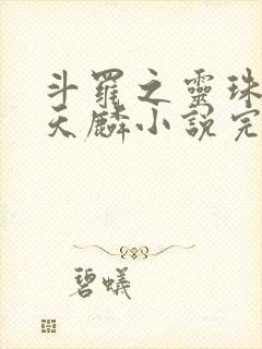 斗罗之灵珠神剑天麟小说完整版下载txt