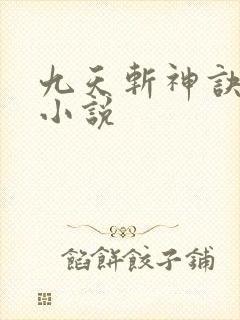 九天斩神诀原著小说