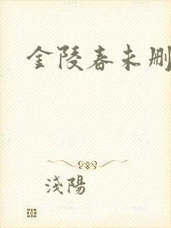 金陵春未删减版