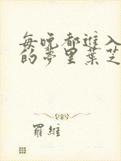 每晚都进入男神的梦里叶芝琴小说