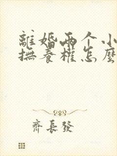 离婚两个小孩的抚养权怎么判