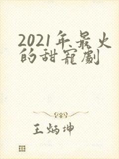 2021年最火的甜宠剧