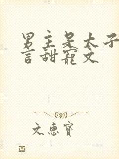 男主是太子的古言甜宠文