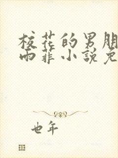 校花的男朋友向雨菲小说免费阅读