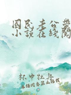 国民老公带回家小说在线阅读