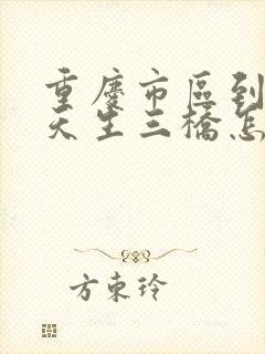 重庆市区到武隆天生三桥怎么去