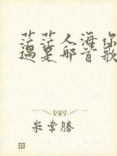 茫茫人海你我相遇是哪首歌的歌词