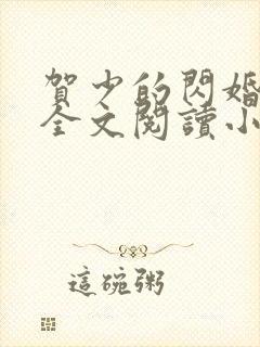 贺少的闪婚暖妻全文阅读小说