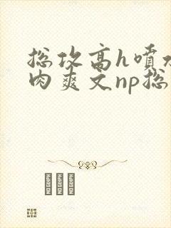 总攻高h喷水荡肉爽文np总攻