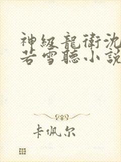 神级龙卫沈浪苏若雪听小说