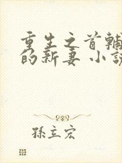 重生之首辅大人的新妻 小说
