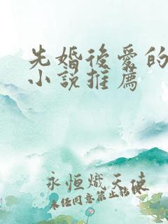 先婚后爱的军婚小说推荐