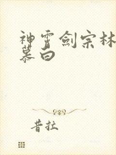 神霄剑宗林枫苏慕白