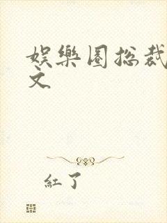 娱乐圈总裁甜宠文