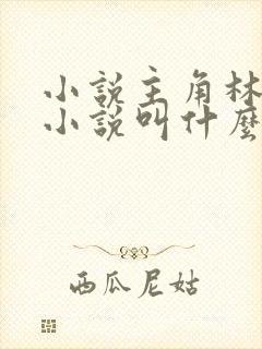 小说主角林辰的小说叫什么