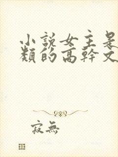 小说女主是秘书类的高干文