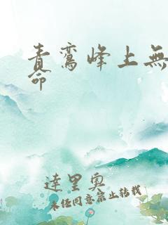 青鸾峰上无敌天命