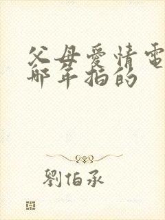 父母爱情电视剧哪年拍的