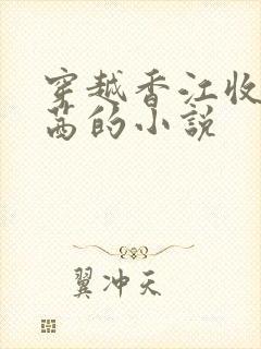 穿越香江收张冰茜的小说