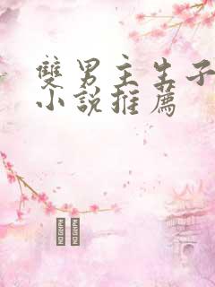 双男主生子甜文小说推荐