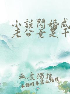 小说闪婚成宠,老公竟是千亿大佬