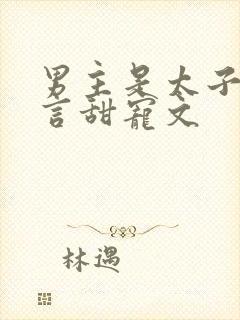 男主是太子的古言甜宠文